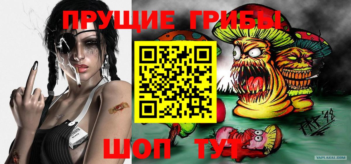 Галлюциногенные грибы прущие грибы  Псилоцибиновые грибы Cubensis  Солнечногорск  Вход с VPN 