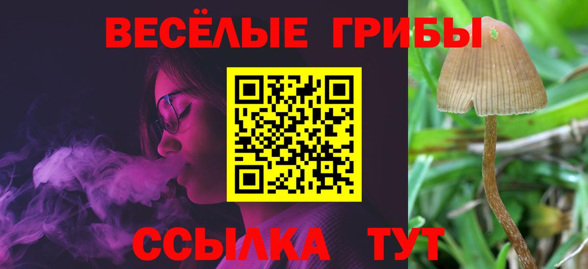 Псилоцибиновые грибы MAGIC MUSHROOMS Солнечногорск